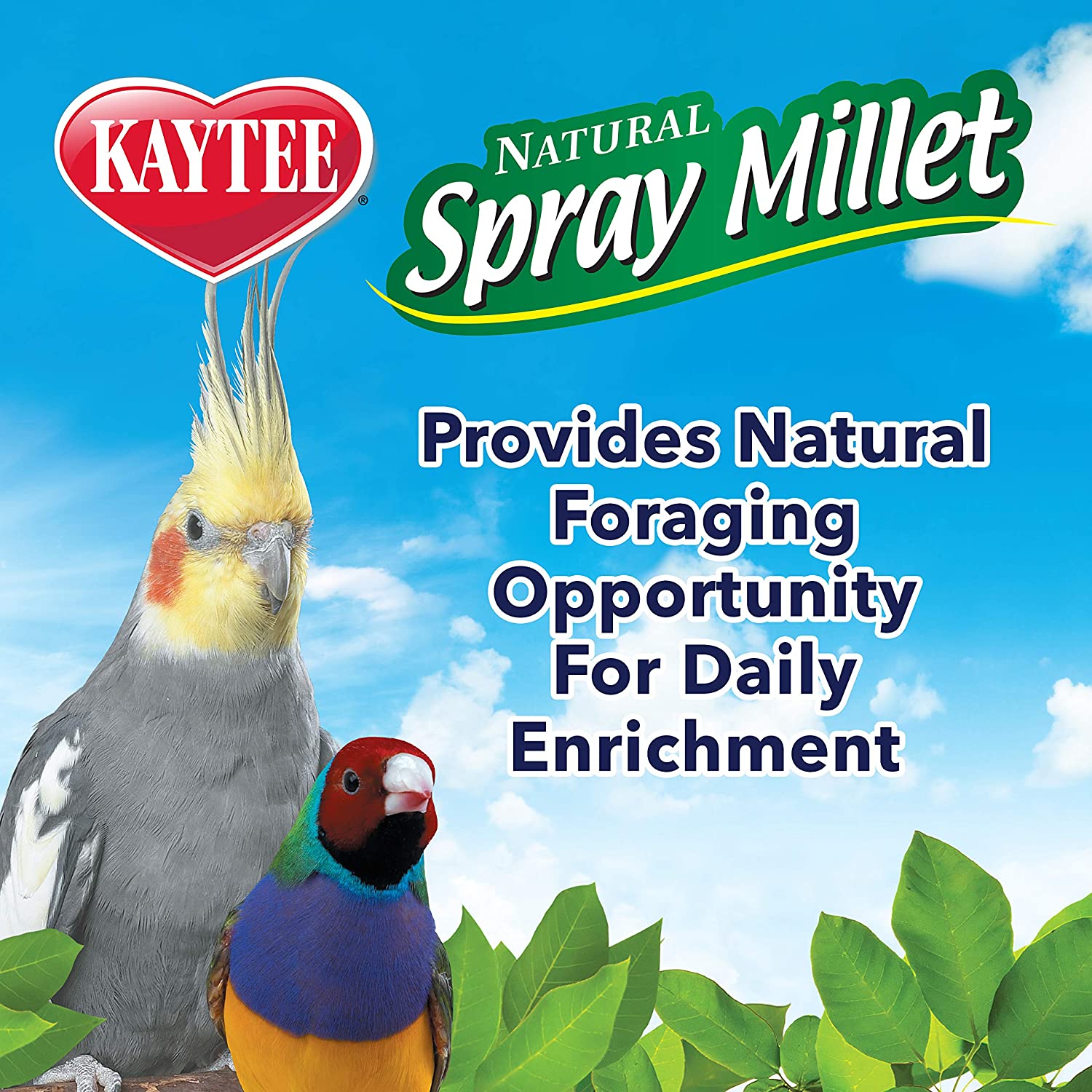 spray millet4